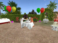 Small 6669de7d1ec7632dfbf13bab