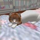 Thumb 5aa94092d774f86f52000001