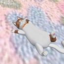 Thumb 5aae93abd774f87075000001