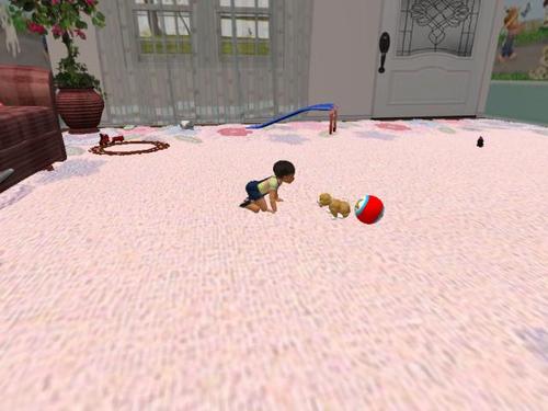 Web 5aae8c52289dd23763000001