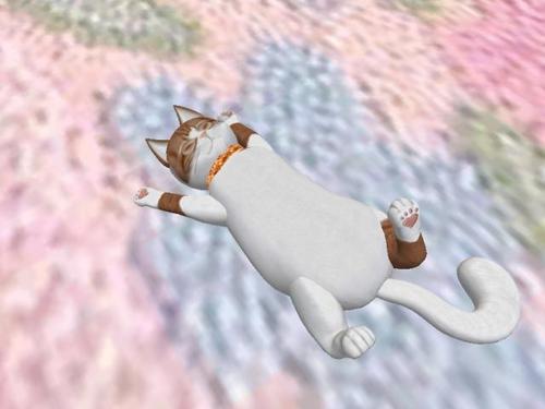 Web 5aae93abd774f87075000001