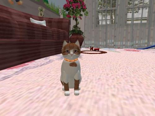 Web 5ab28a0bd774f8352b000001