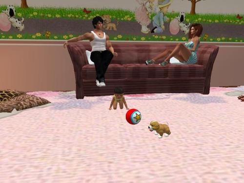 Web 5ac0fb81d774f8580a000001