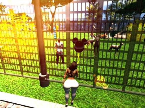 Web 57aa4a08b015400533000001