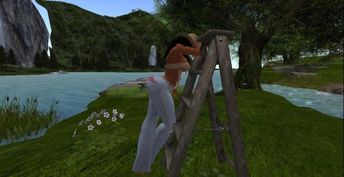 Web 5c230c0f289dd2498e000001