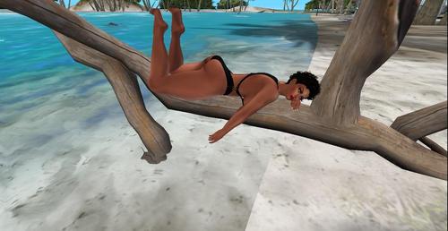 Web 5c508e79d774f81a8f000001