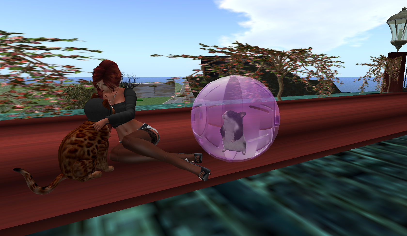 Original 5a9afbfad9859c34e5000001