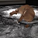 Thumb 5ac17037d9859c1840000001