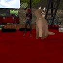 Thumb 5ac41757d774f81b0b000001