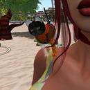 Thumb 5ac5a90ad774f859e3000001