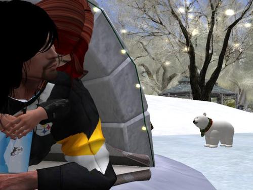 Web 5a17d246d9859c45f0000001