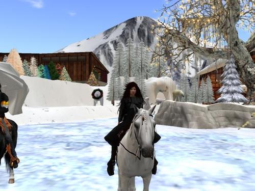 Web 5a1a00d473ed176d77000001