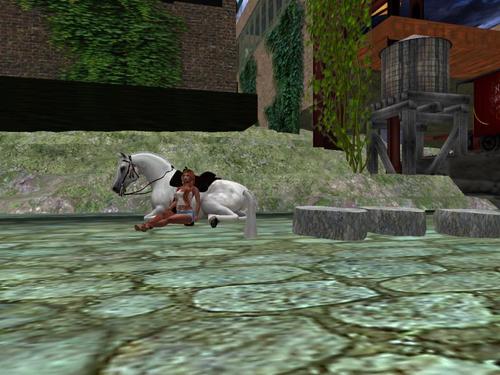 Web 5a94a6f2d9859c73ae000001