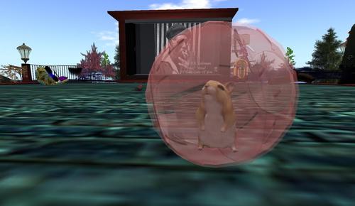 Web 5a9aff5d73ed17404b000001