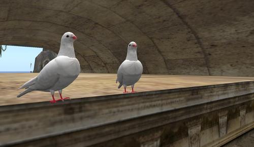 Web 5adbea27d774f8464c000001