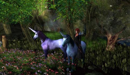 Web 5ae55a95d9859c7020000001