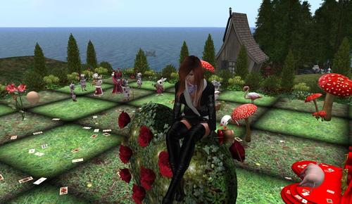 Web 5c00b65373ed170fa4000001