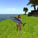 Thumb 64b0a42c1370851883d74e7a