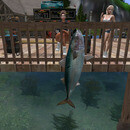 Thumb 65f1181fe653e628f9892c2a