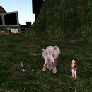 Thumb 6678eac6f73d1069b5875b01