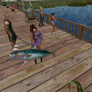 Thumb 669426aa366b466b131d3f1b