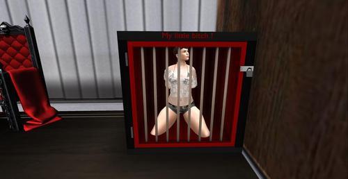 Web 6241153ee3937d64b638c3e4