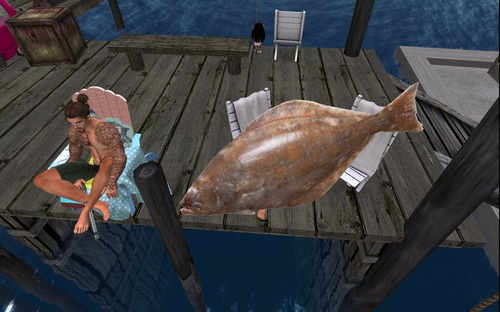 Web 64d99a76f854fa79acd99483