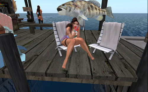 Web 64d99ca56ed22a2ccc441051