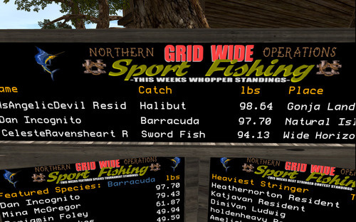 Web 64d9a1c2597e1a17bc31fa0e