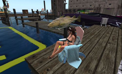 Web 64dc352b2e9e601157a93368