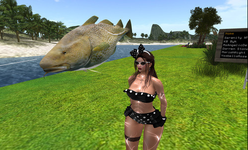 Web 64dc36b232ca92373014620a