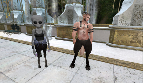 Web 66bd4de8ddd2433bc4564d95