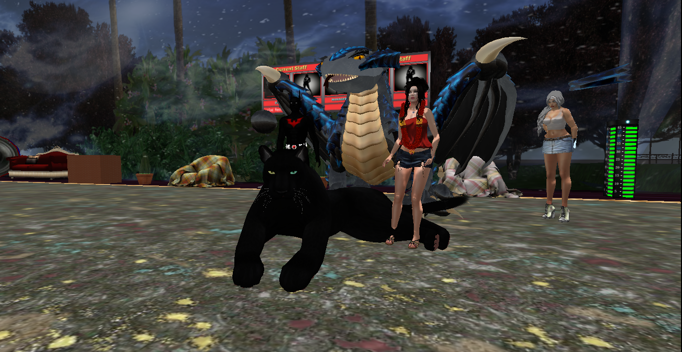 Original 58b2c776f8a1ec2605000001