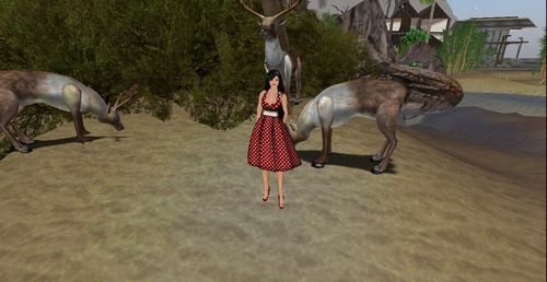 Web 5799dcffb713f70f8f000001