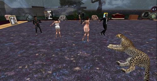 Web 58a81a96f8a1ec030f000001