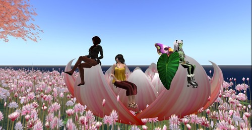 Web 58ab0d59e85cda7616000001