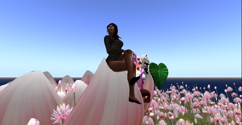 Web 58ab0ddbf8a1ec0bd0000001