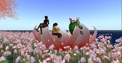 Web 58ab0e6bb713f73702000001