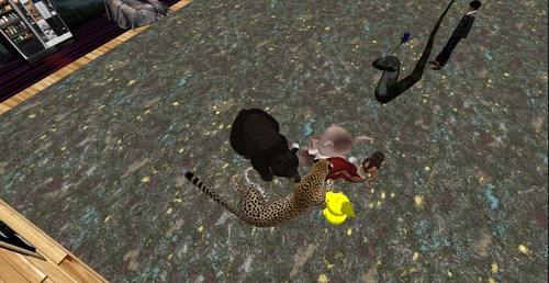 Web 58b1a6fbb713f73285000001