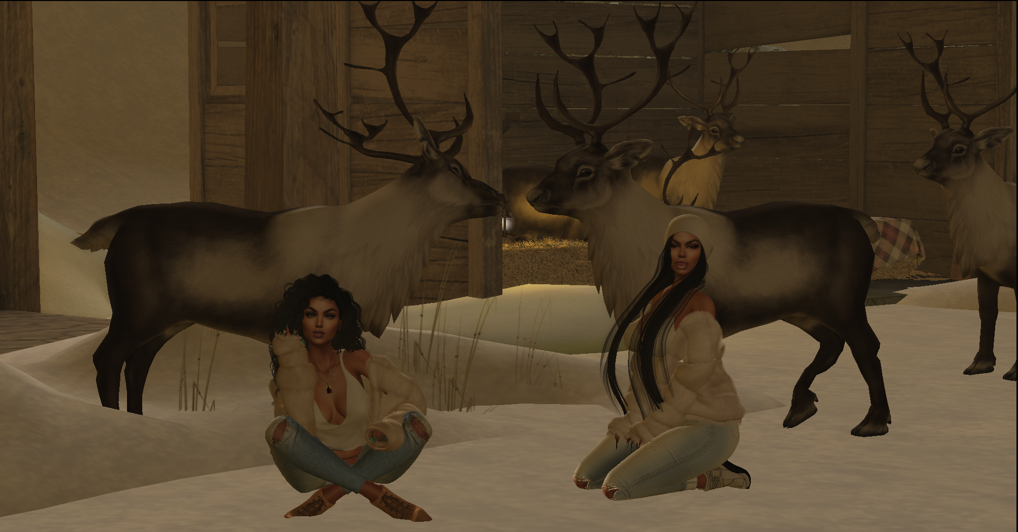 Original 5c058498d9859c6a24000001