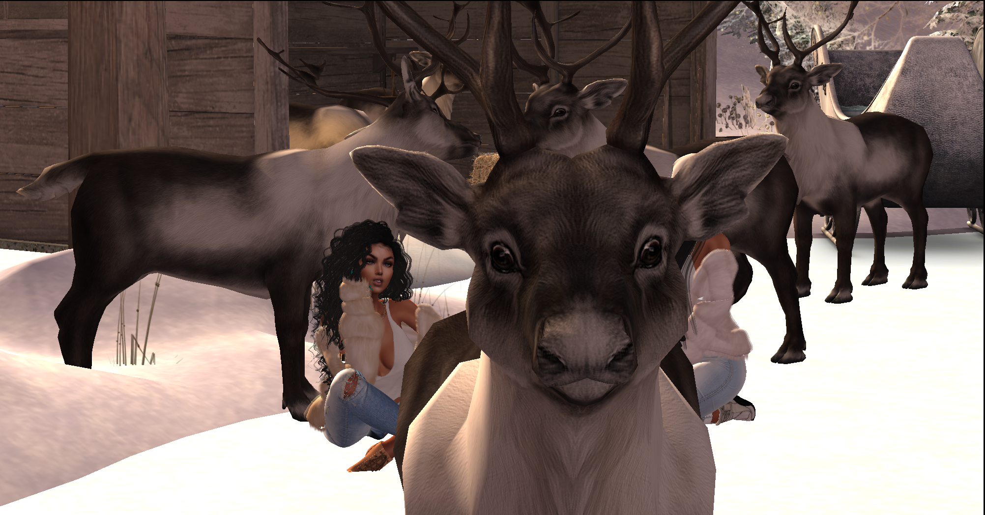 Original 5c058749289dd2651c000001