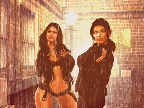 Web 5bc3373bd9859c14ff000001