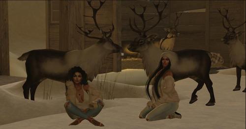 Web 5c058498d9859c6a24000001