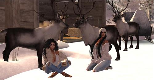 Web 5c058799289dd26703000001