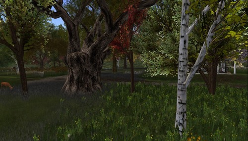 Web 58aa9142b0154028e5000001