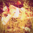 Thumb 5ece4b4a289dd21aa3c41038