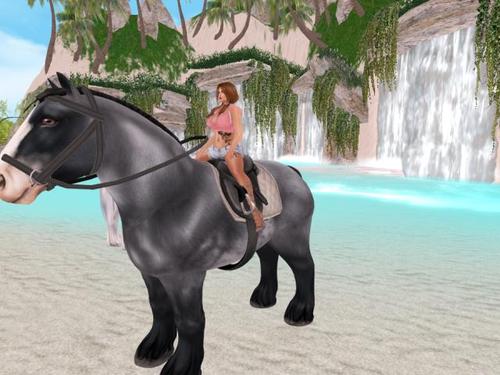 Web 5afb1e45d774f80fb4000001