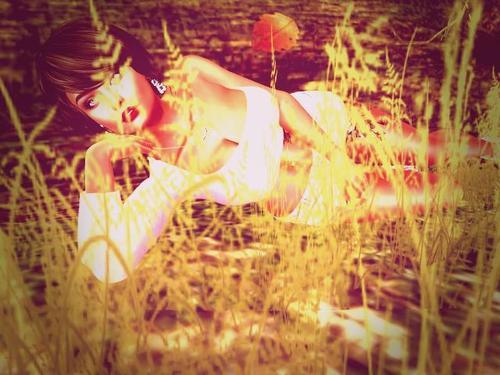 Web 5ece4b4a289dd21aa3c41038