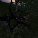 Thumb 577aea50b713f7283a000001