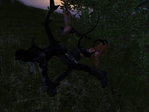 Web 577aea50b713f7283a000001